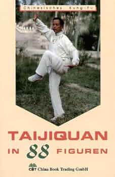 Buch Taijiquan in 88 Figuren